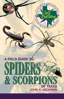 A Field Guide to Spiders and Scorpions of Texas