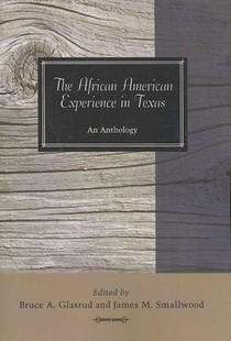 The African American Experience in Texas voorzijde