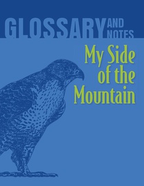 Glossary and Notes