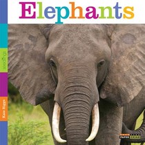 Seedlings: Elephants