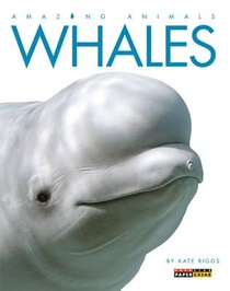 Whales