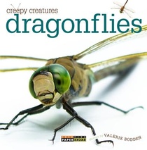 Dragonflies