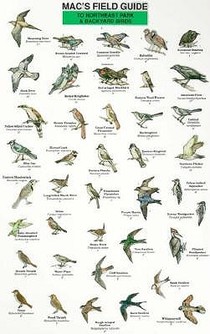 Mac's Field Guides: Northeast Park & Backyard Birds