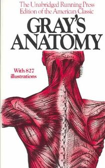 Gray's Anatomy voorzijde