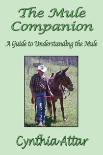 The Mule Companion