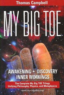 My Big TOE Awakening Discovery Inner Workings