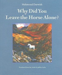 Why Did You Leave the Horse Alone