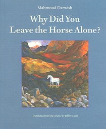 Why Did You Leave The Horse Alone voorzijde