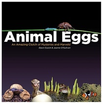 Animal Eggs