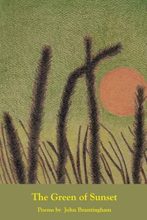 The Green of Sunset
