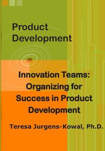 Product Development Innovation Teams: Organizing for Success in New Product Development
