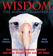 Wisdom, the Midway Albatross voorzijde