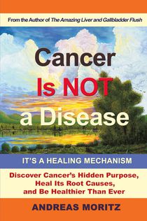 Cancer Is Not a Disease - It's a Healing Mechanism voorzijde