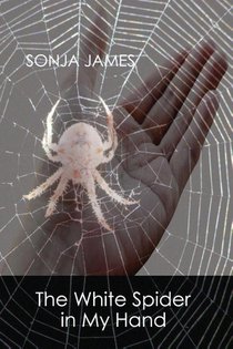 The White Spider in My Hand