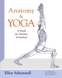 Anatomy and Yoga