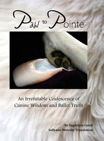 Mulcahy, S: Paw to Pointe