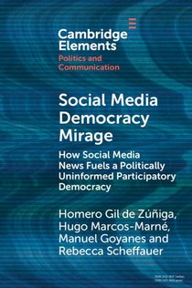 Social Media Democracy Mirage