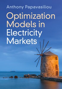 Optimization Models in Electricity Markets