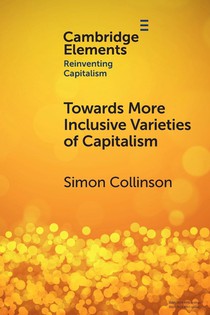 Towards More Inclusive Varieties of Capitalism