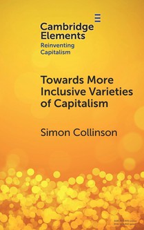 Towards More Inclusive Varieties of Capitalism