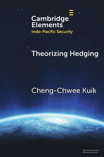 Theorizing Hedging