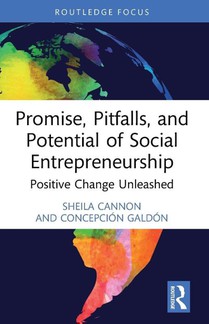 Promise, Pitfalls, and Potential of Social Entrepreneurship