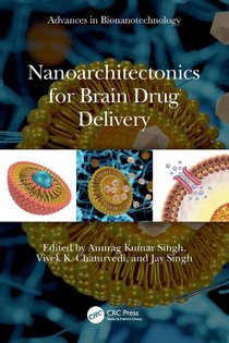 Nanoarchitectonics for Brain Drug Delivery