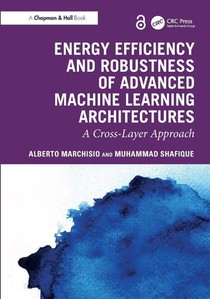 Energy Efficiency and Robustness of Advanced Machine Learning Architectures