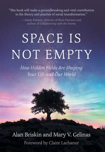 Space Is Not Empty: How Hidden Fields Are Shaping Your Life and Our World
