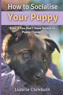 How to Socialise Your Puppy: Even if you don't have access to puppy classes!