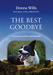 The Best Goodbye