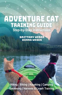 Adventure Cat Training Guide
