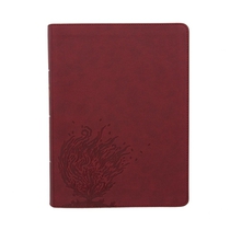 Csb Bibles By Holman: CSB Experiencing God Bible, Burgundy L