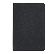 CSB Large Print Thinline Bible, Black Leathertouch