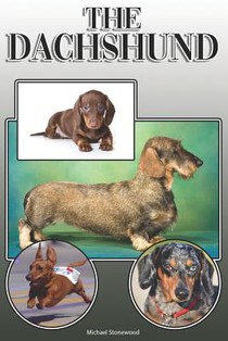 The Dachshund: A Complete and Comprehensive Owners Guide to: Buying, Owning, Health, Grooming, Training, Obedience, Understanding and