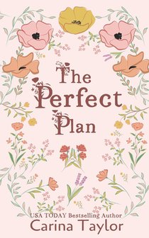 The Perfect Plan: A Small Town Romance