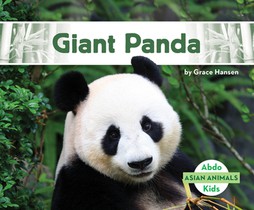 Giant Panda