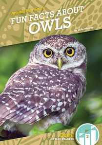 Fun Facts about Owls