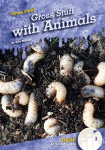 Gross Stuff with Animals