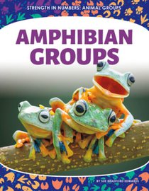Amphibian Groups