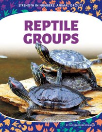 Reptile Groups