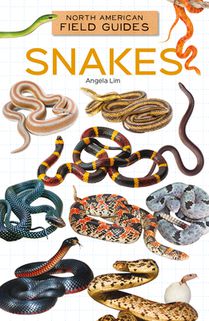 Snakes