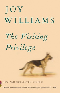 VISITING PRIVILEGE