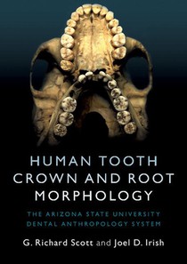 Human Tooth Crown and Root Morphology voorzijde