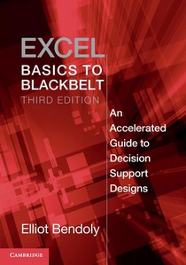 Excel Basics to Blackbelt