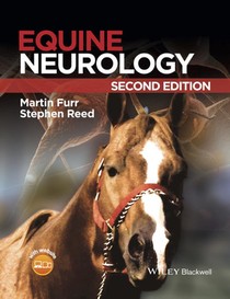 Equine Neurology