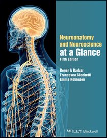 Neuroanatomy and Neuroscience at a Glance