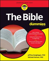 The Bible For Dummies voorzijde