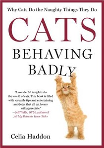 CATS BEHAVING BADLY