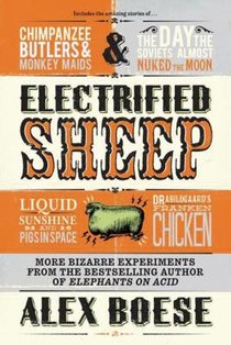 Electrified Sheep